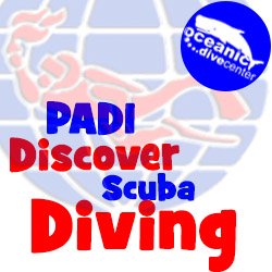 PADI Discover Scuba Diving