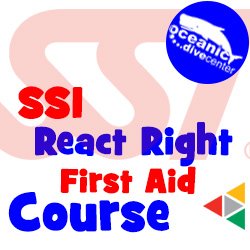 SSI React Right Course Phuket